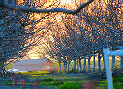 轰炸电话号码网站